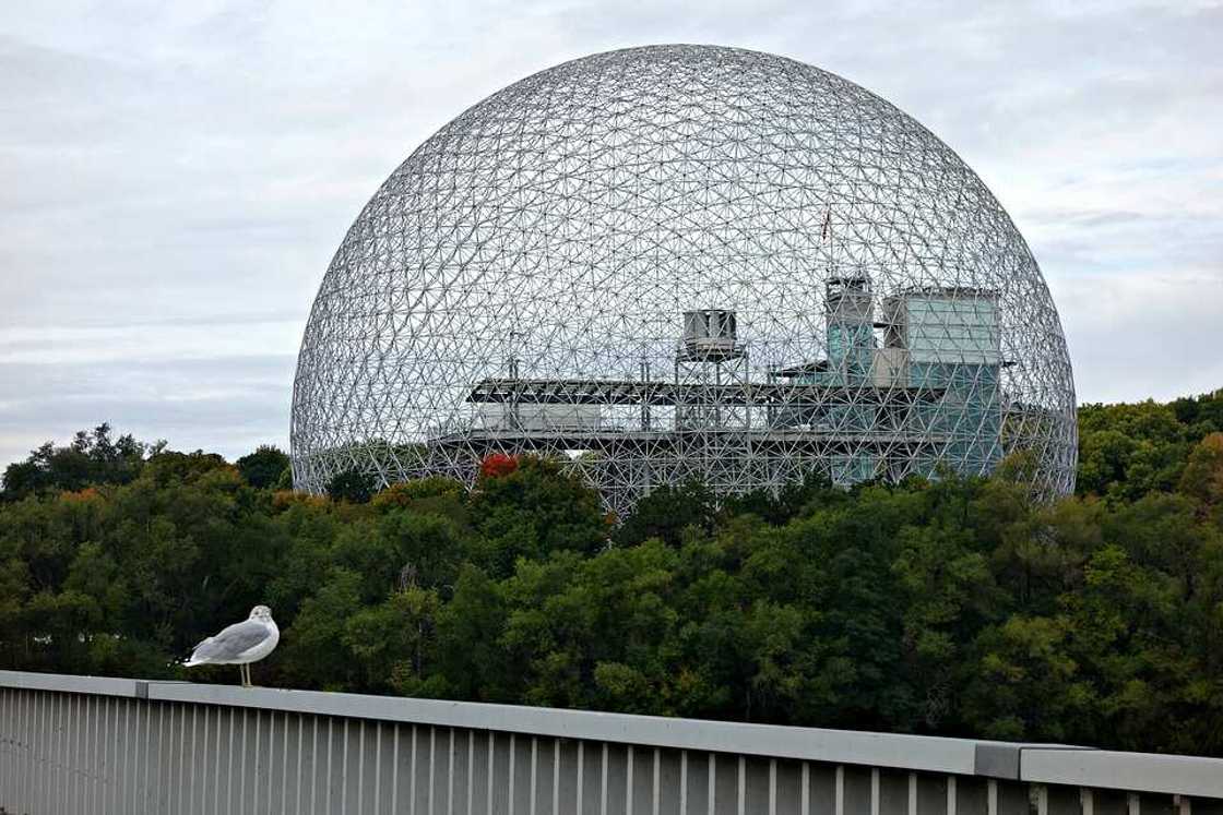 Most expensive thing on earth Most expensive thing on earth