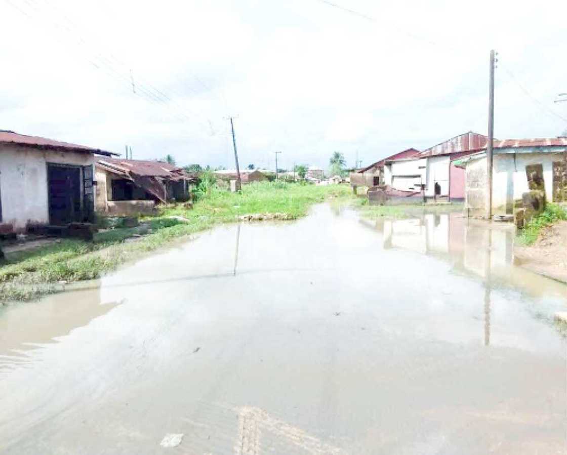 Ambaliyar ruwa a Adamawa. Ambaliyar ruwa a Adamawa.
