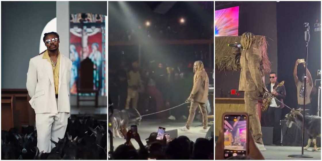 Asake and goat on stage Asake and goat on stage