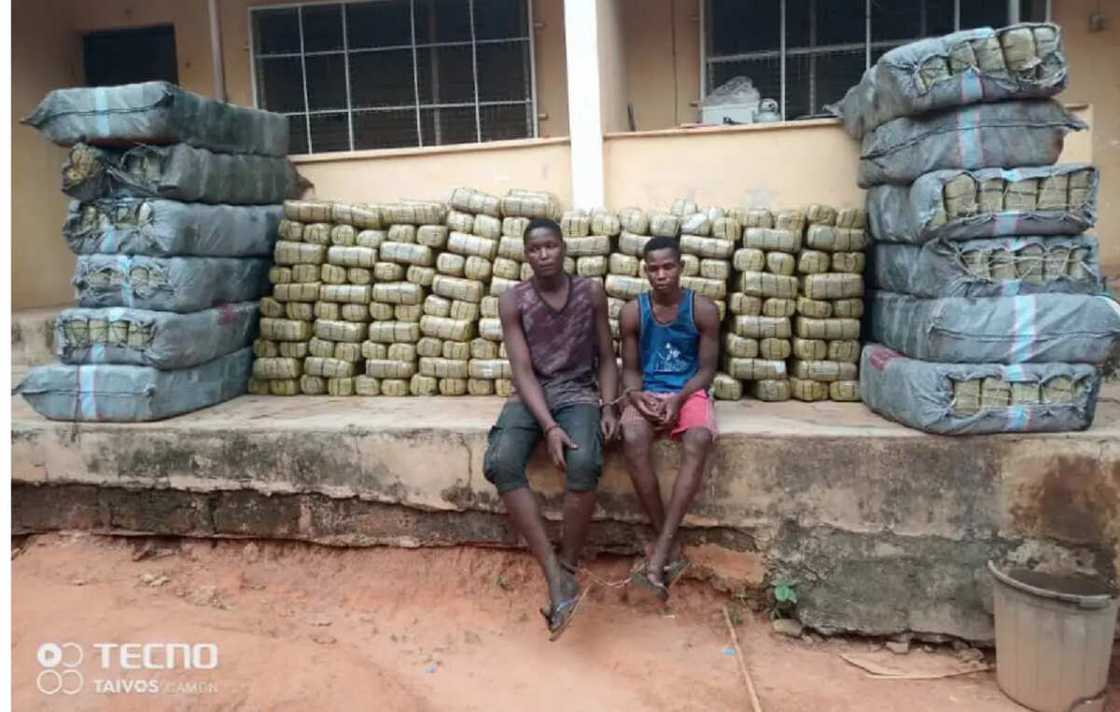 An cafke hatsabibin dilalin miyagun ƙwayoyi da ake nema ruwa a Jallo a Nasarawa An cafke hatsabibin dilalin miyagun ƙwayoyi da ake nema ruwa a Jallo a Nasarawa