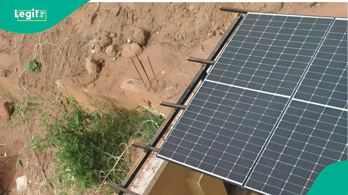 Man adopts rare strategy for solar power after landlord blocks rooftop setup Man adopts rare strategy for solar power after landlord blocks rooftop setup