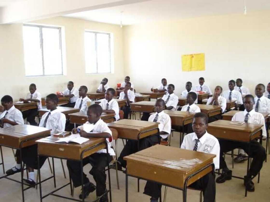 With subjects like artificial intelligence and cybersecurity, Nigeria aligns its education system with global digital standards under the President Bola Tinubu-led government With subjects like artificial intelligence and cybersecurity, Nigeria aligns its education system with global digital standards under the President Bola Tinubu-led government