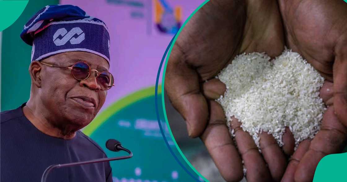 Bola Tinubu Bola Tinubu