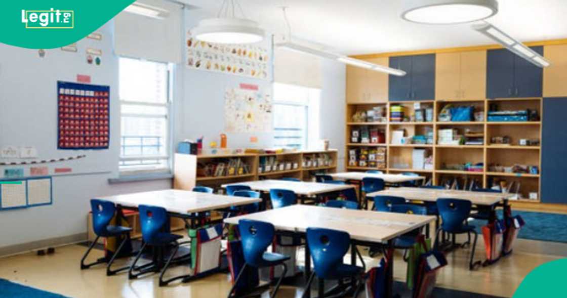 Little girl gets confused after seeing her examination questions. Little girl gets confused after seeing her examination questions.