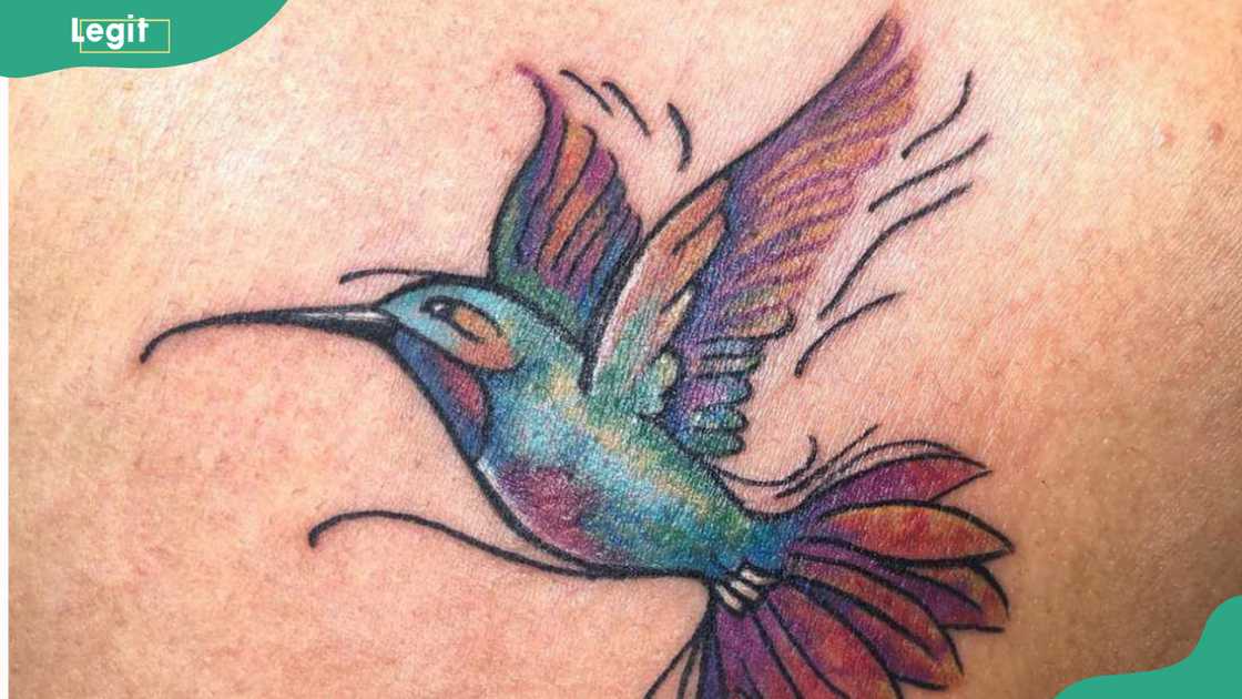 Hummingbird tattoo with dancing wings