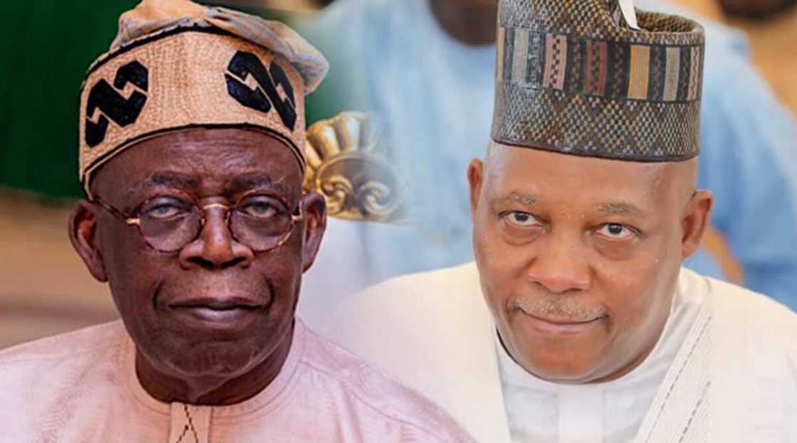 Tinubu ds Shettima Tinubu ds Shettima
