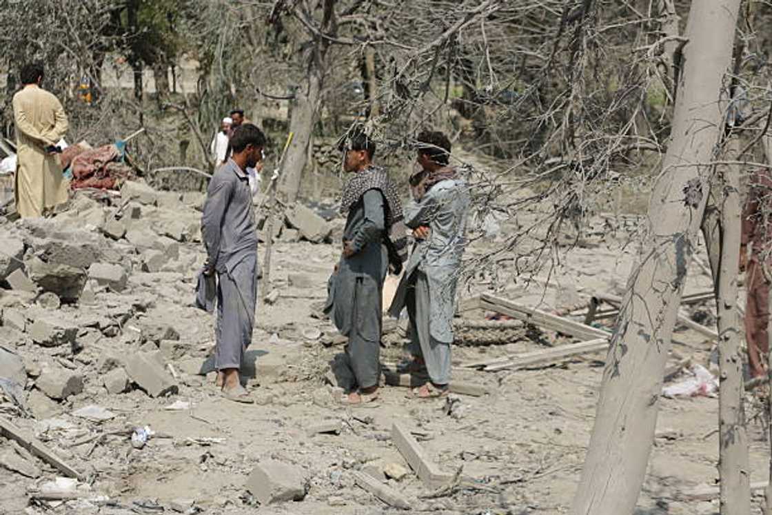 Harin Pakistan Afghanistan Harin Pakistan Afghanistan