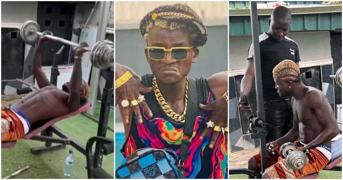 Portable Zazu Portable Zazu