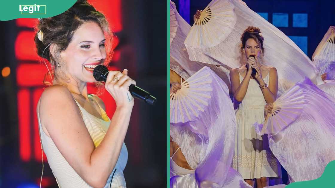 Lana Del Rey performs at a concert