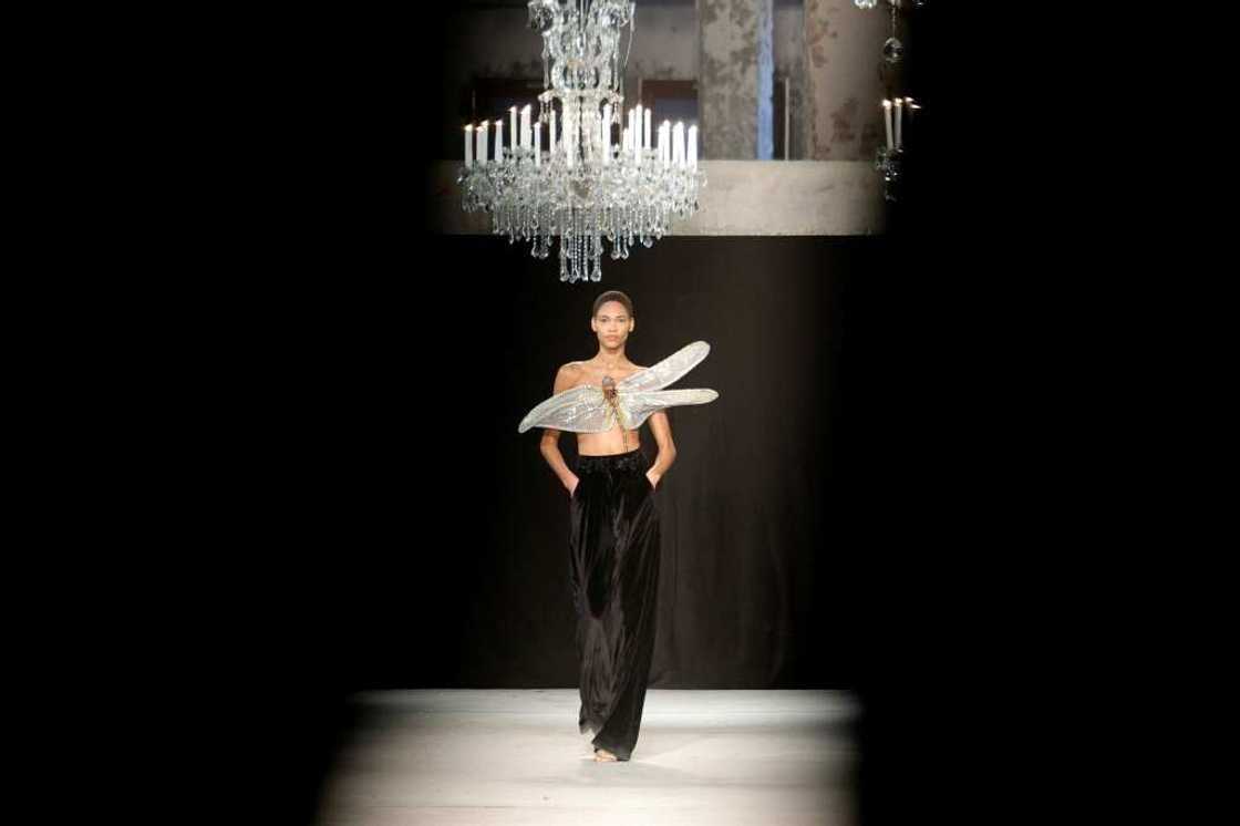 Moths and bugs were the stars for Rahul Mishra Moths and bugs were the stars for Rahul Mishra