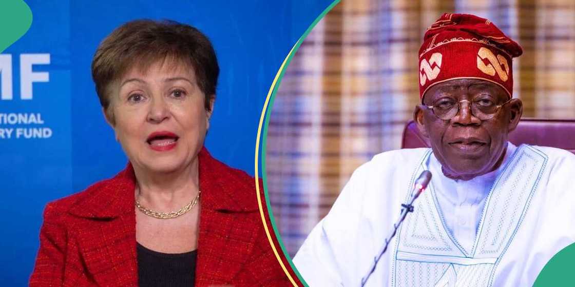 IMF advises Nigeria IMF advises Nigeria