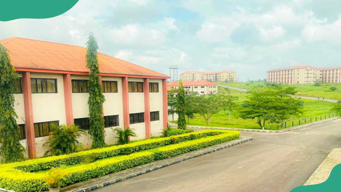 Hallmark University building. Hallmark University building.