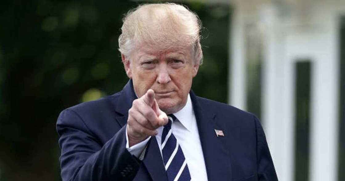 Donald Trump excited by poll showing 98% of voters don't want him to concede defeat Donald Trump excited by poll showing 98% of voters don't want him to concede defeat