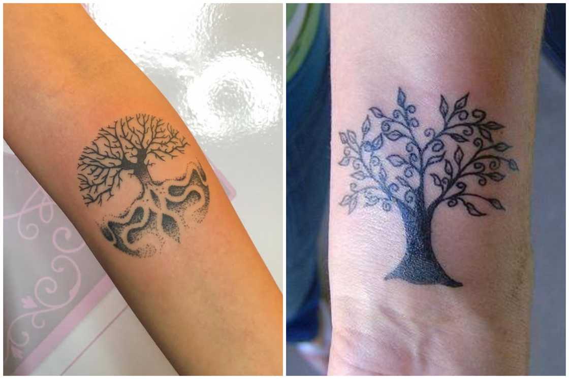 Minimalist Tree of Life tattoo