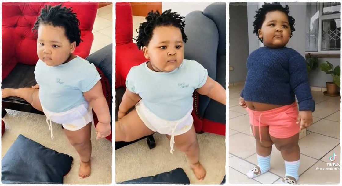 Photos of handsome baby who looks chubby. Photos of handsome baby who looks chubby.