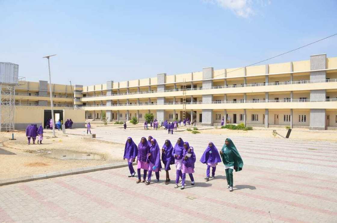 Gwamna Zulum ya dauki nauyin karatun 'ya'yan talakawa, 'yan mata 800 Gwamna Zulum ya dauki nauyin karatun 'ya'yan talakawa, 'yan mata 800