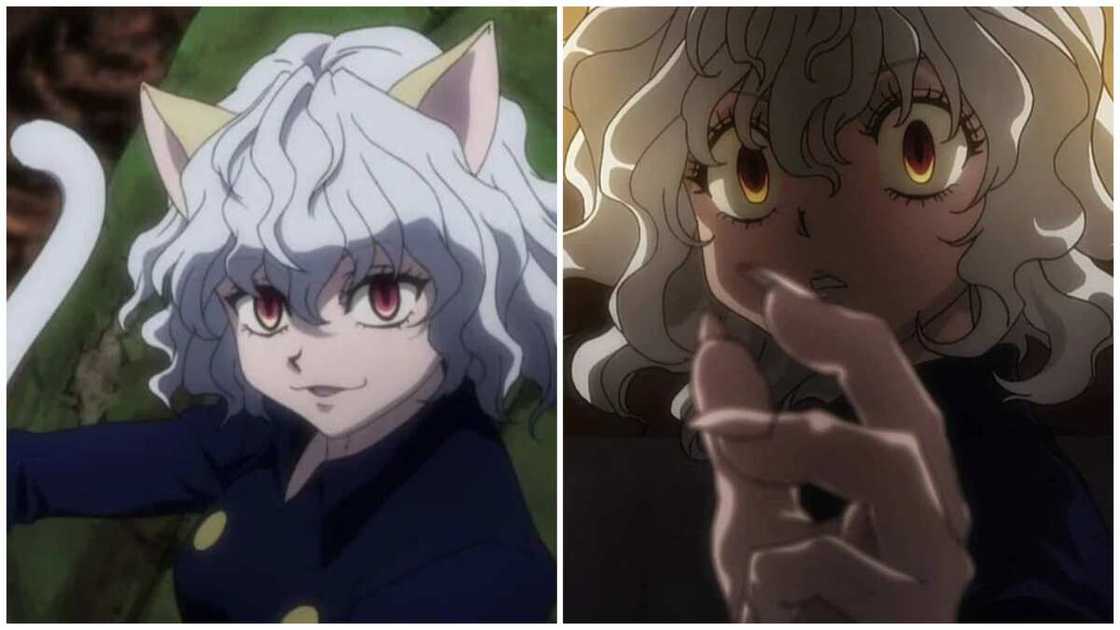 Anime characters with white hair Anime characters with white hair