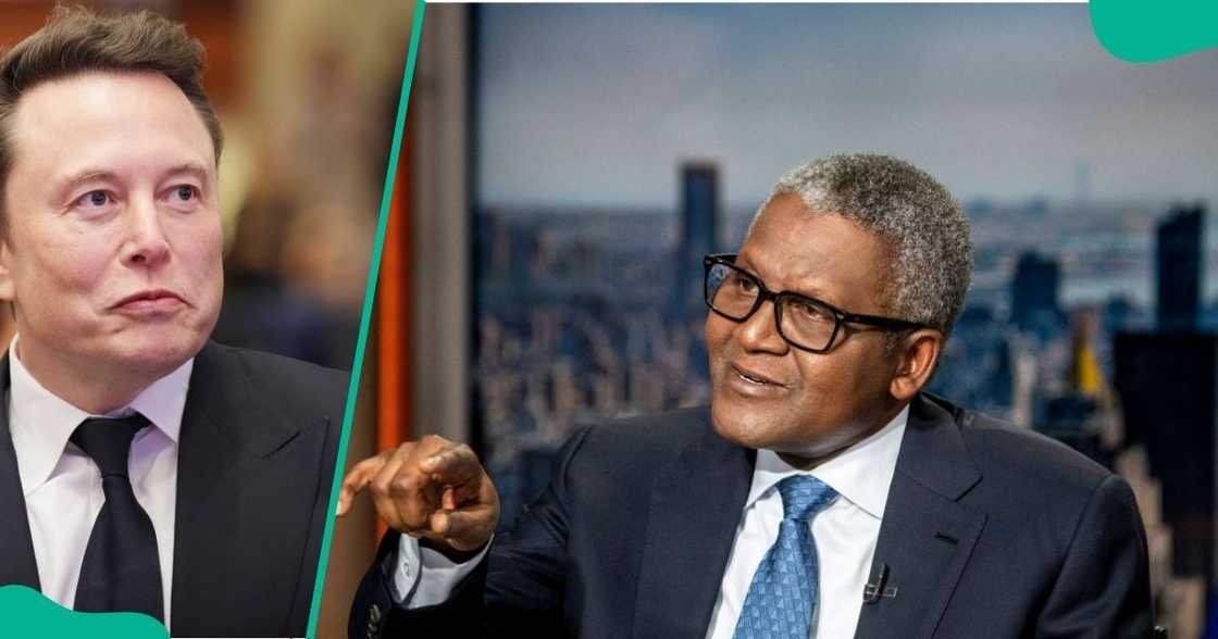 Elon Musk's net worth soar as Dangote drops in ranking Elon Musk's net worth soar as Dangote drops in ranking