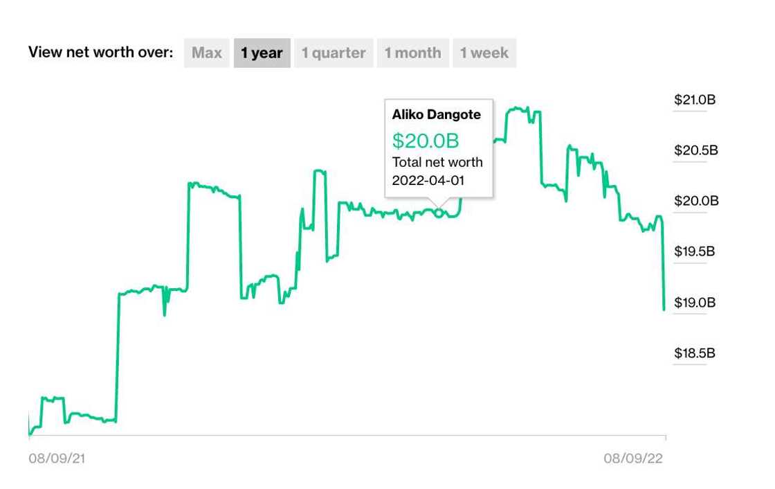 Dangote wealth chart