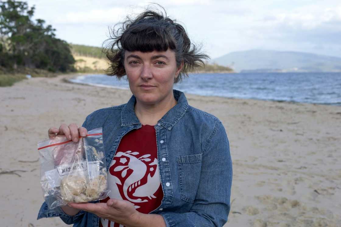 Campaigner Jess Coughlin said she had found chunks of rotten fish along the beach at Verona Sands, Tasmania Campaigner Jess Coughlin said she had found chunks of rotten fish along the beach at Verona Sands, Tasmania
