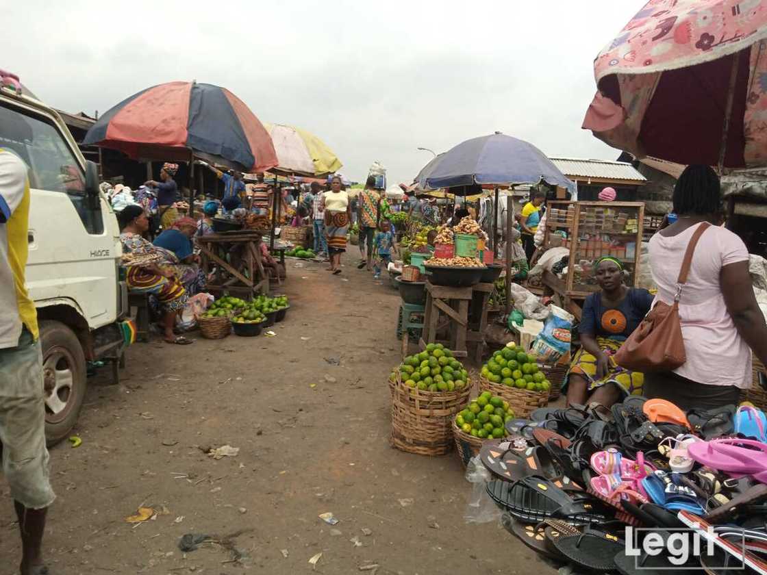 At the market, the local grown lemon is very expensive. Photo credit: Esther Odili At the market, the local grown lemon is very expensive. Photo credit: Esther Odili