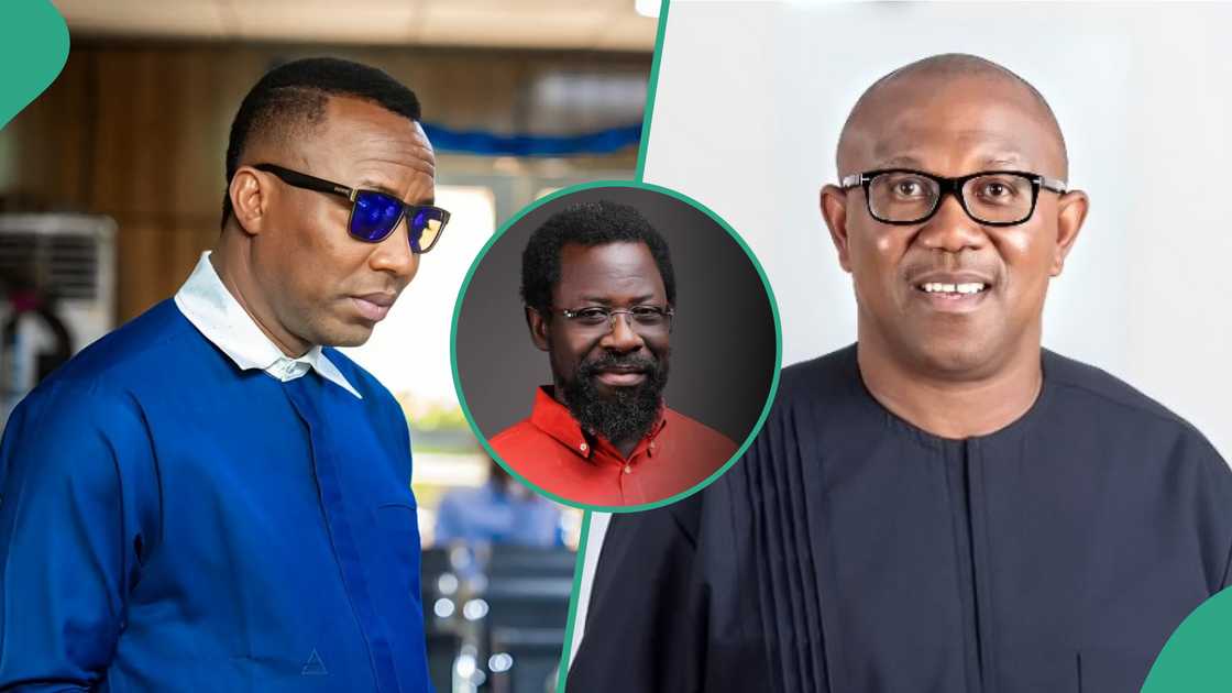 Dele Farotimi: Sowore lambasts Peter Obi over visits to Afe Babalola