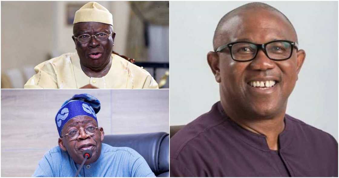 Afenifere, Ayo Adebanjo, former President Olusegun Obasanjo, Labour Party (LP) Peter Obi, 2023 general election Afenifere, Ayo Adebanjo, former President Olusegun Obasanjo, Labour Party (LP) Peter Obi, 2023 general election
