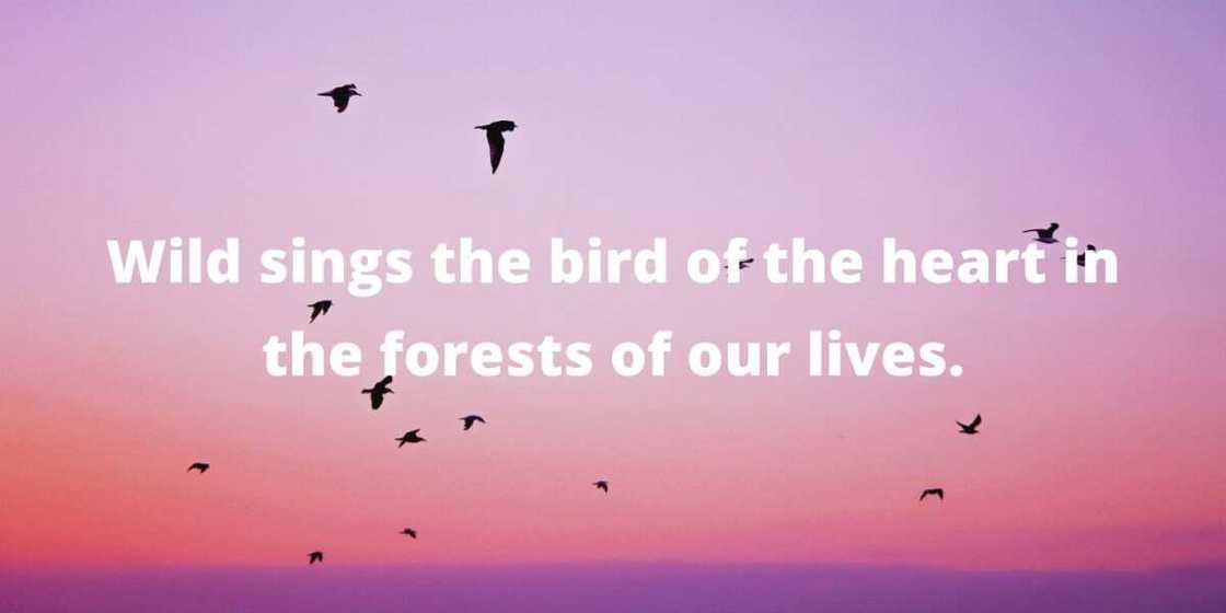 Quotes by Mary Oliver