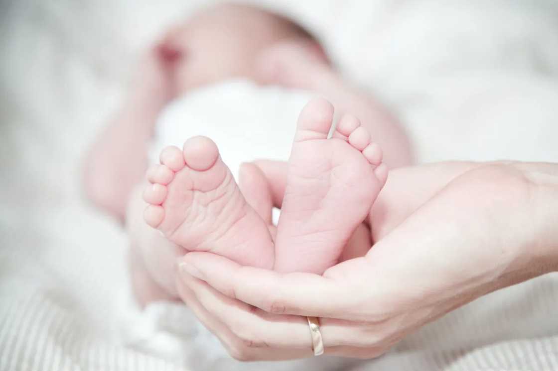 Newborn Newborn
