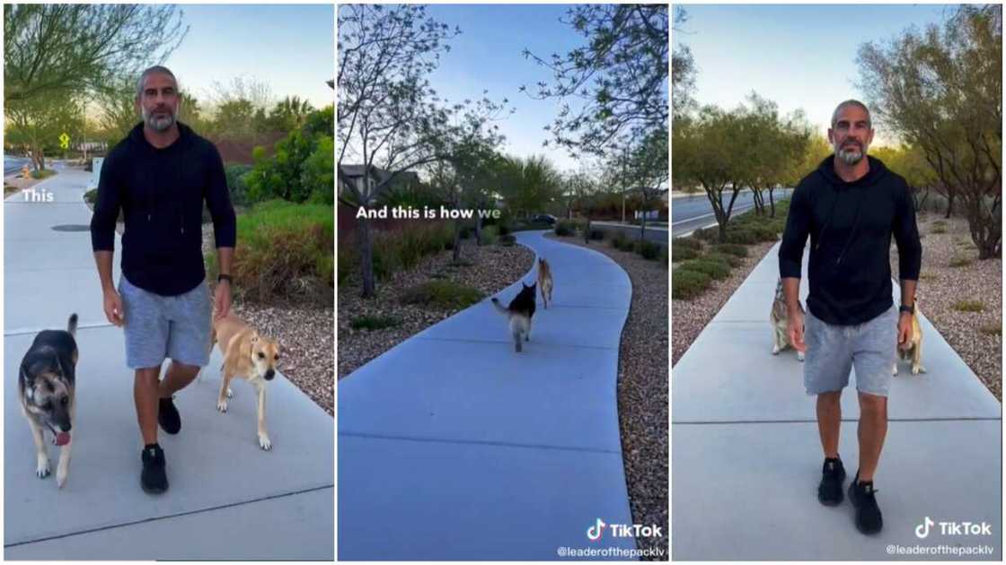 Dog training/man's love for pets. Dog training/man's love for pets.