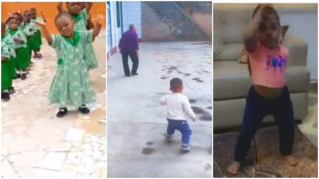 One of them copied his grandma's style of walking. One of them copied his grandma's style of walking.