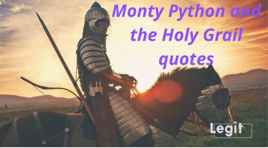 monty python and the holy grail quotes monty python and the holy grail quotes