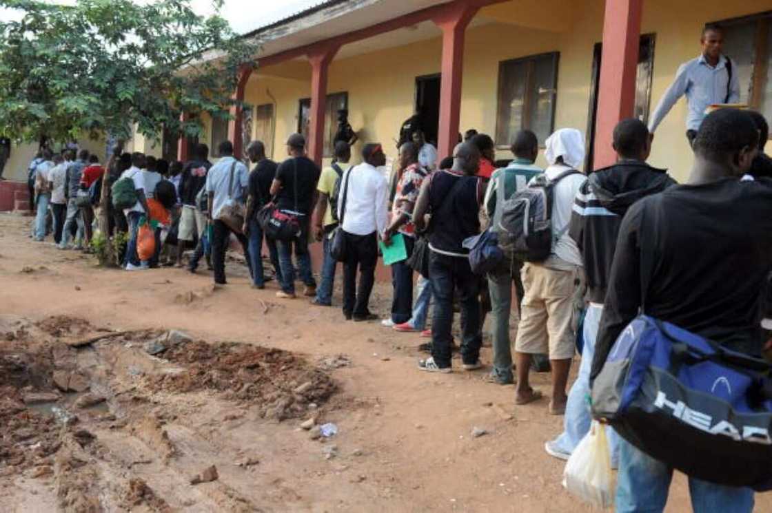 ex-militants ex-militants