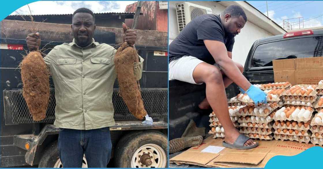 John Dumelo in pics