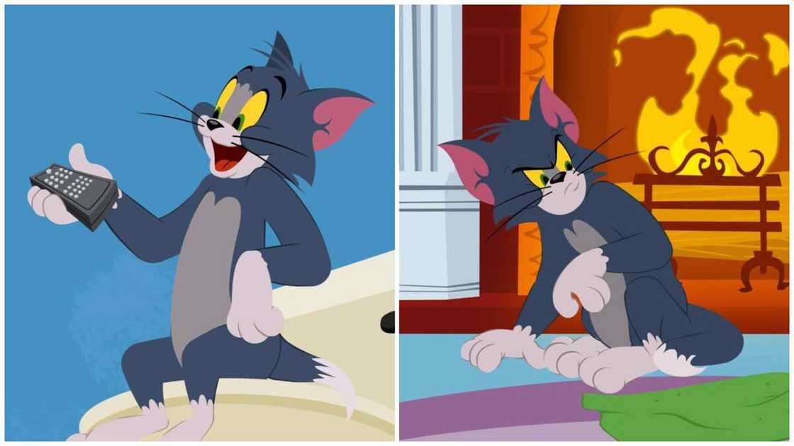 silly cartoon characters silly cartoon characters
