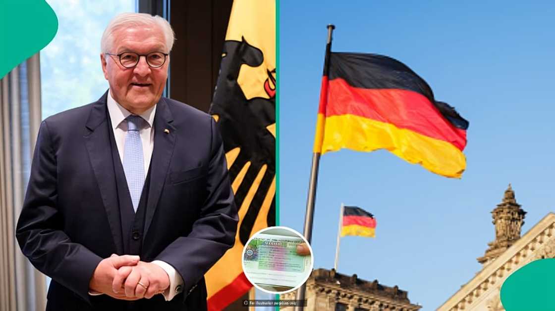 Germany unveils platform for foreigners seeking work in Germany, shares application steps