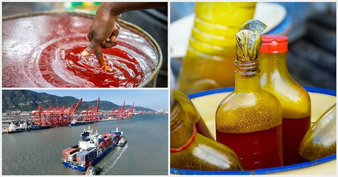 New palm oil price looms as FG slashes import tariffs