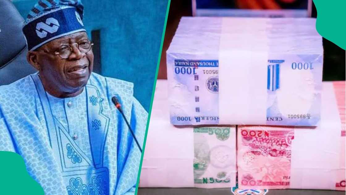 NEXIM Bank disburses N420 Billion to boost non-oil exports and create 12,000 jobs NEXIM Bank disburses N420 Billion to boost non-oil exports and create 12,000 jobs
