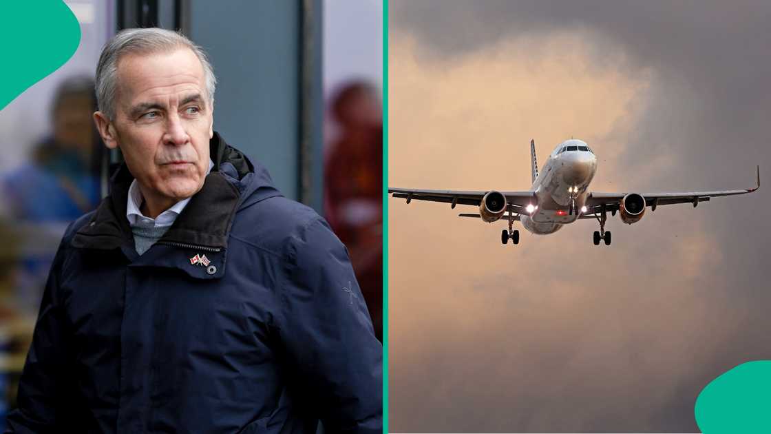 Travellers declare food, plants and animals to the CBSA when entering Canada.