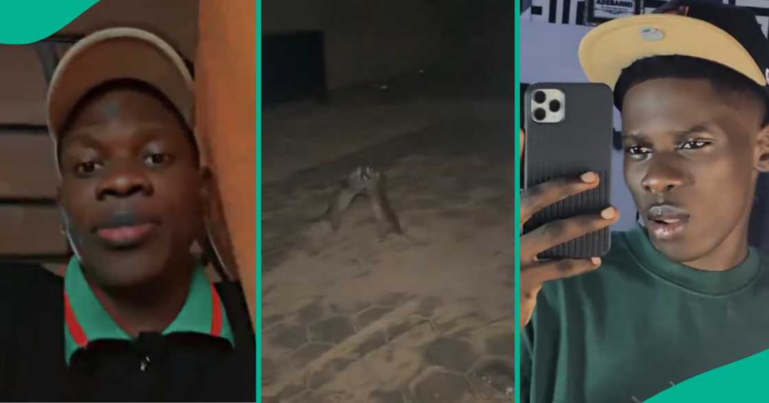 Man who stepped out to check after hearing odd noise at night finds two rats in unexpected act Man who stepped out to check after hearing odd noise at night finds two rats in unexpected act