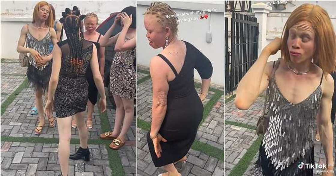 Albino bridal train, funny video Albino bridal train, funny video