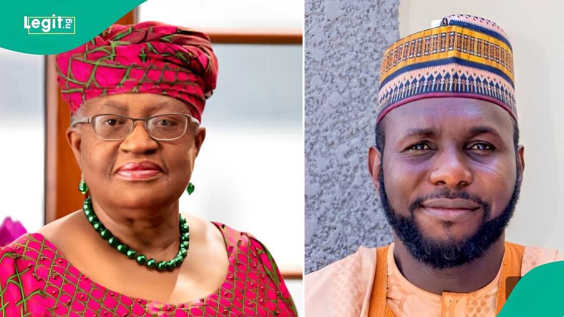 WTO's Dr Ngozi Okonjo-Iweala praises Abdullahi Haruna Haruspice's article on girl-child education, highlighting its impact on gender dialogue in northern Nigeria. WTO's Dr Ngozi Okonjo-Iweala praises Abdullahi Haruna Haruspice's article on girl-child education, highlighting its impact on gender dialogue in northern Nigeria.