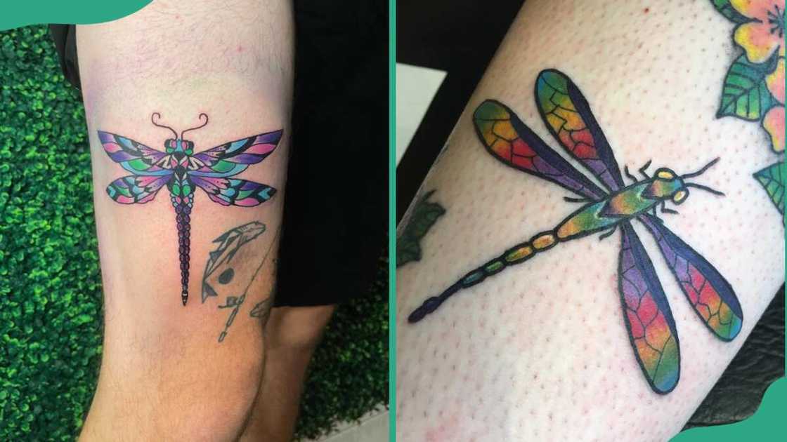 Coloured dragonfly tattoos Coloured dragonfly tattoos