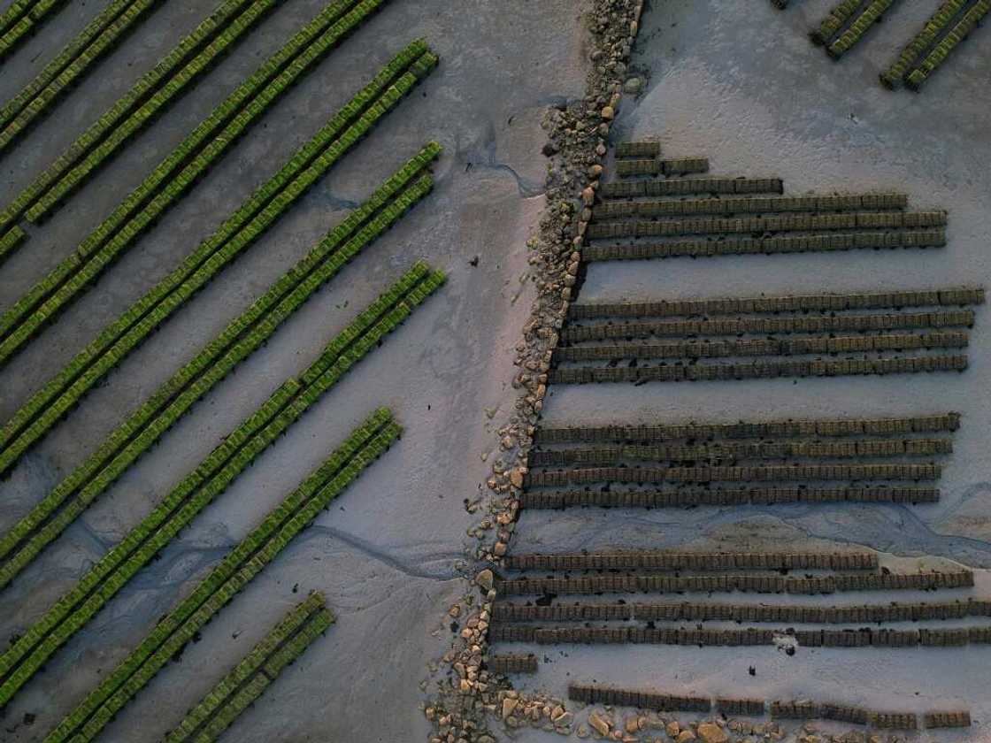 Oyster farmers say they're suffering from bad waste water management