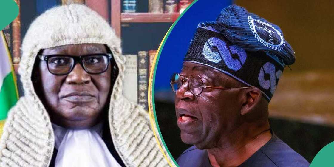 Tinubu/Bola Tinubu/Latest about Bola Tinubu/Tinubu drug case Tinubu/Bola Tinubu/Latest about Bola Tinubu/Tinubu drug case