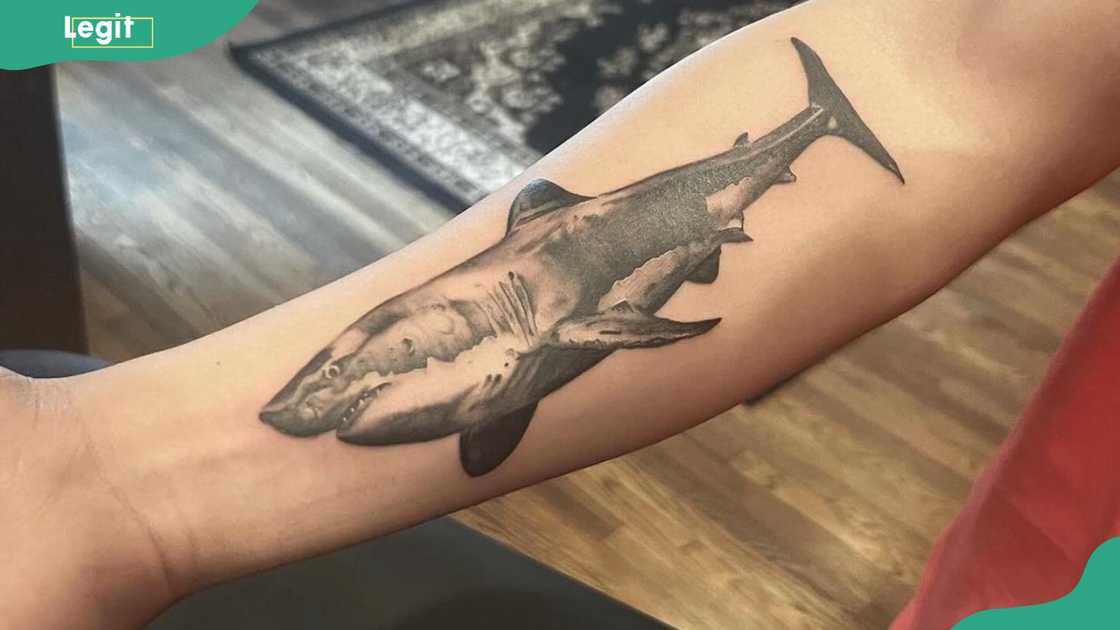 Shark tattoo