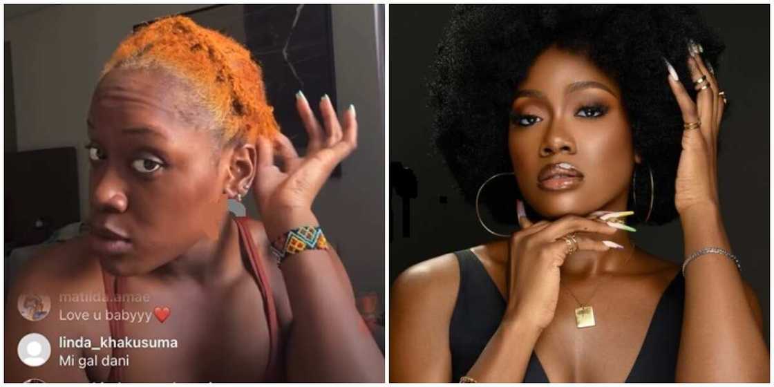 Daniella/BBNaija star/ coloured hair