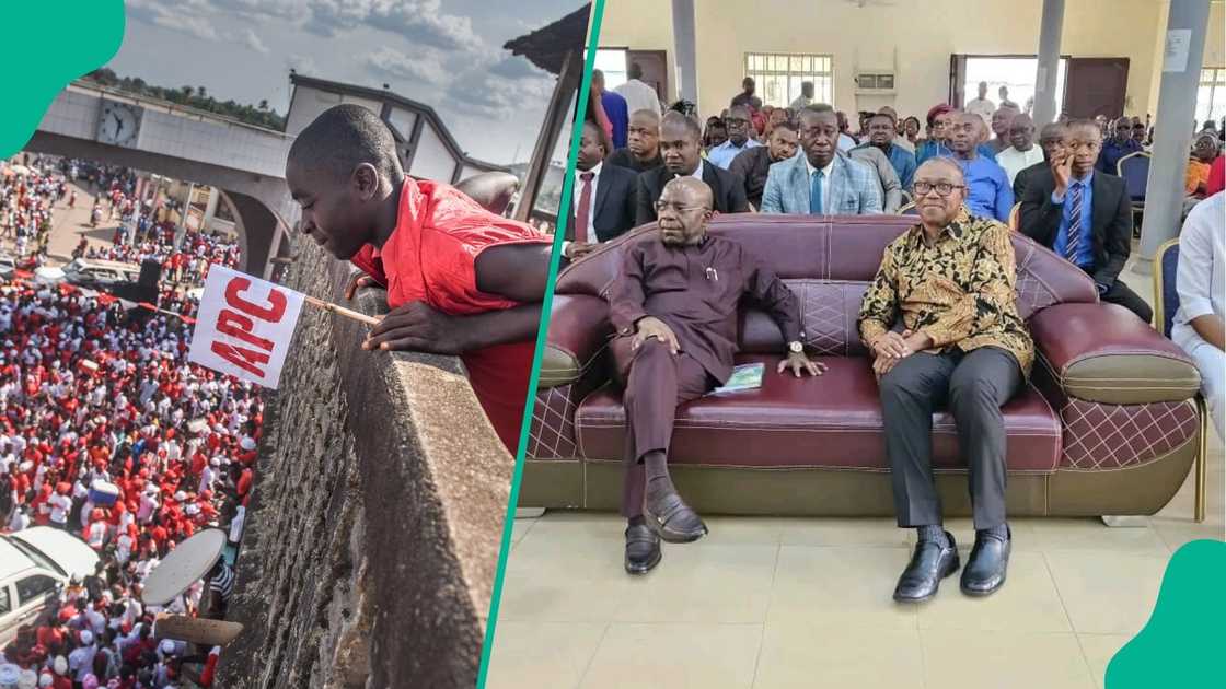 An APC group has slammed Peter Obi for not criticising Governor Alex Otti of ABia on accountability. An APC group has slammed Peter Obi for not criticising Governor Alex Otti of ABia on accountability.