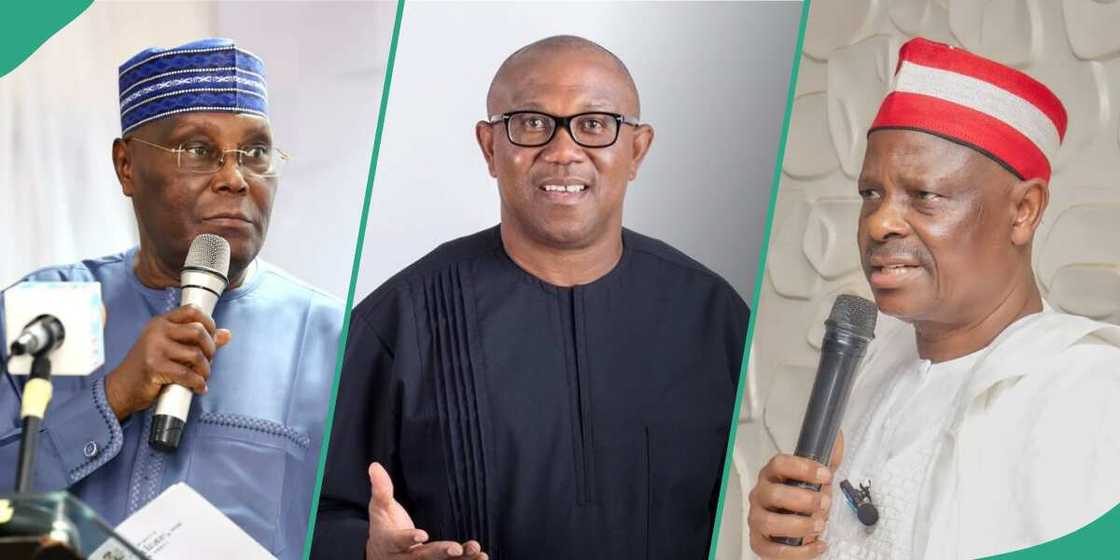  Opposition reacts as PDP official claims merger talks are ongoing between Atiku, Obi, Kwankwaso