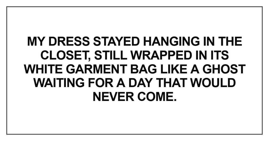 My dress stayed hanging in the closet, still wrapped in its My dress stayed hanging in the closet, still wrapped in its